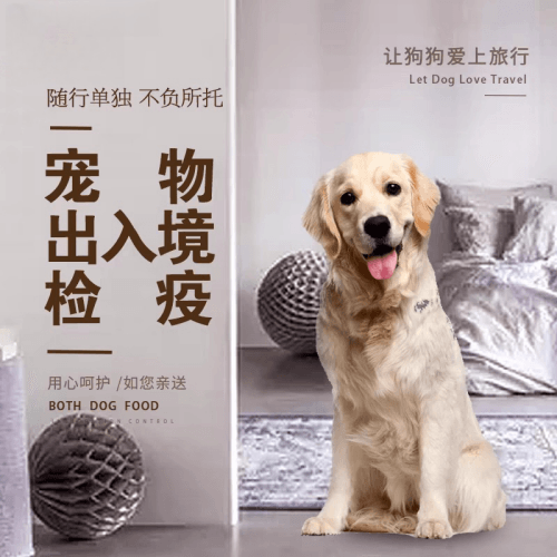 九江市宠物托运到哥伦比亚猫狗宠物入境规定和