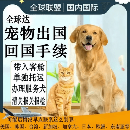 九江市宠物托运到柬埔寨宠物入境规定和要求