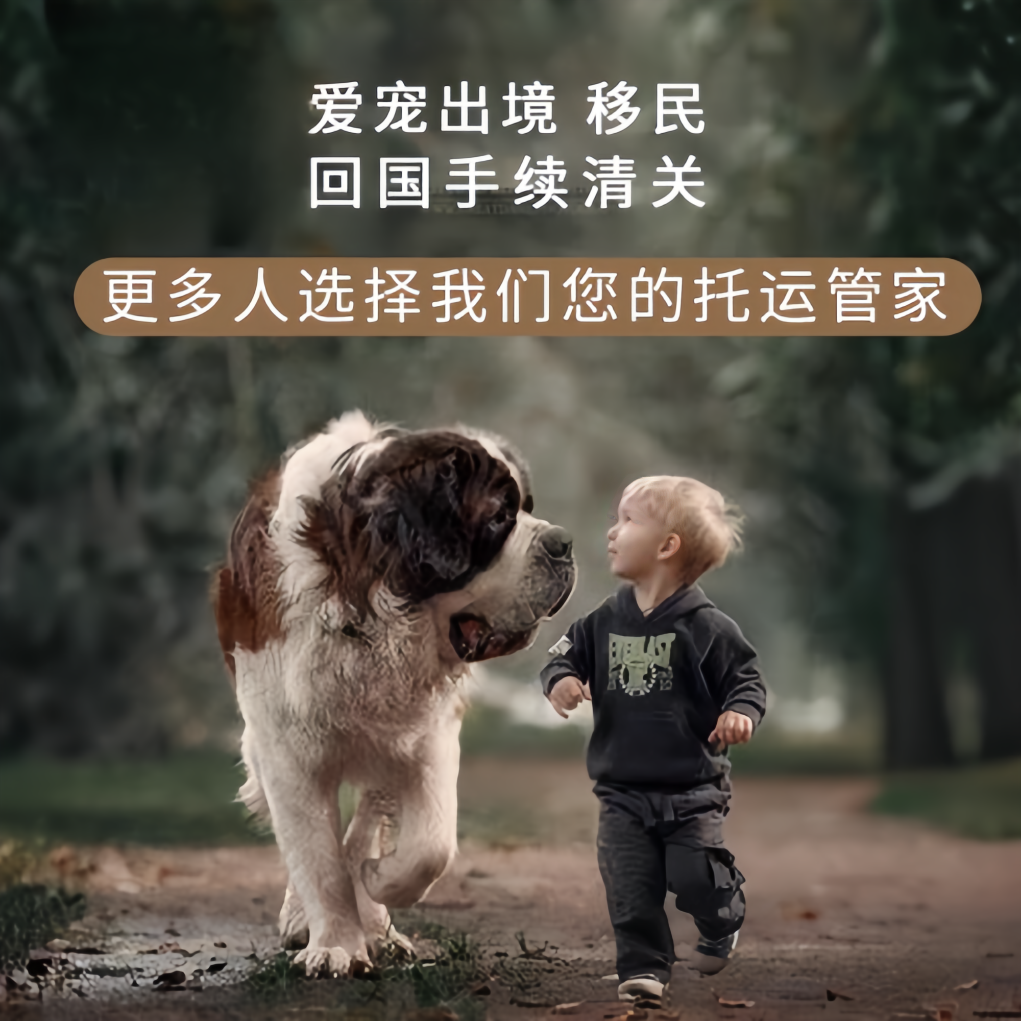 满财九江市宠物全球达宠物托运在遵守入境目的地政策的条件