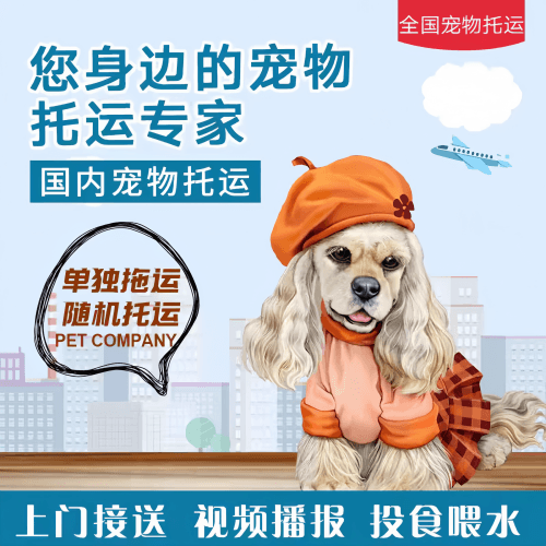 满财九江市宠物全球达宠物托运作为专业的宠物运输代理机构